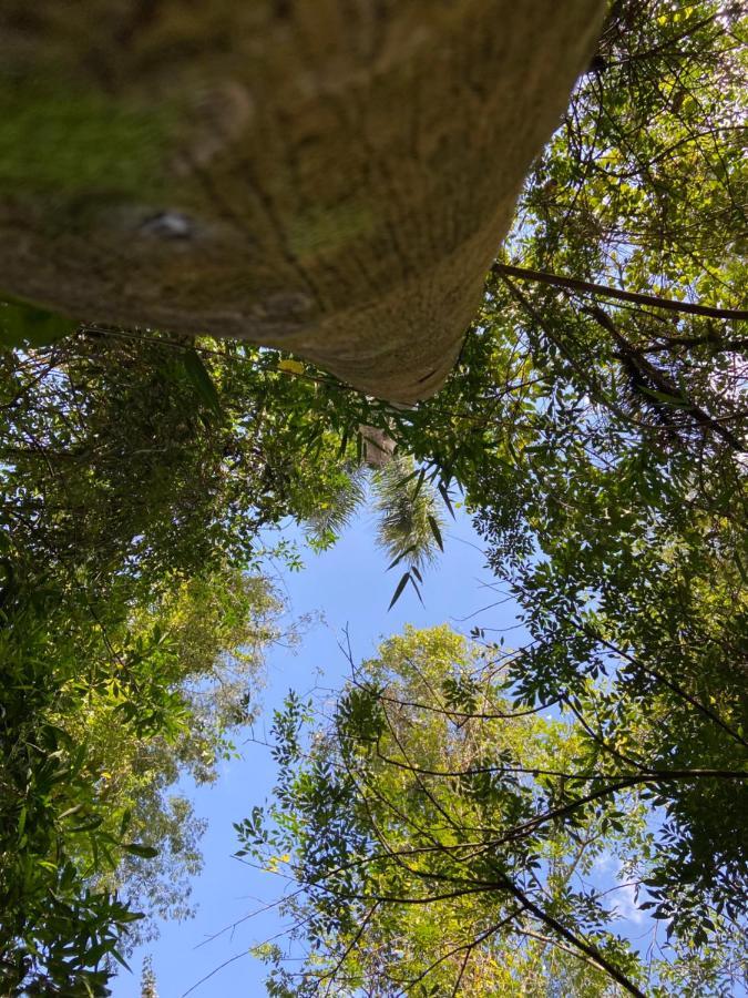 Sitio Metropole - Refugio Na Natureza Piraju Dış mekan fotoğraf